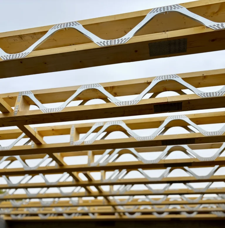 gelecegin-ahsap-yapi-teknolojileri